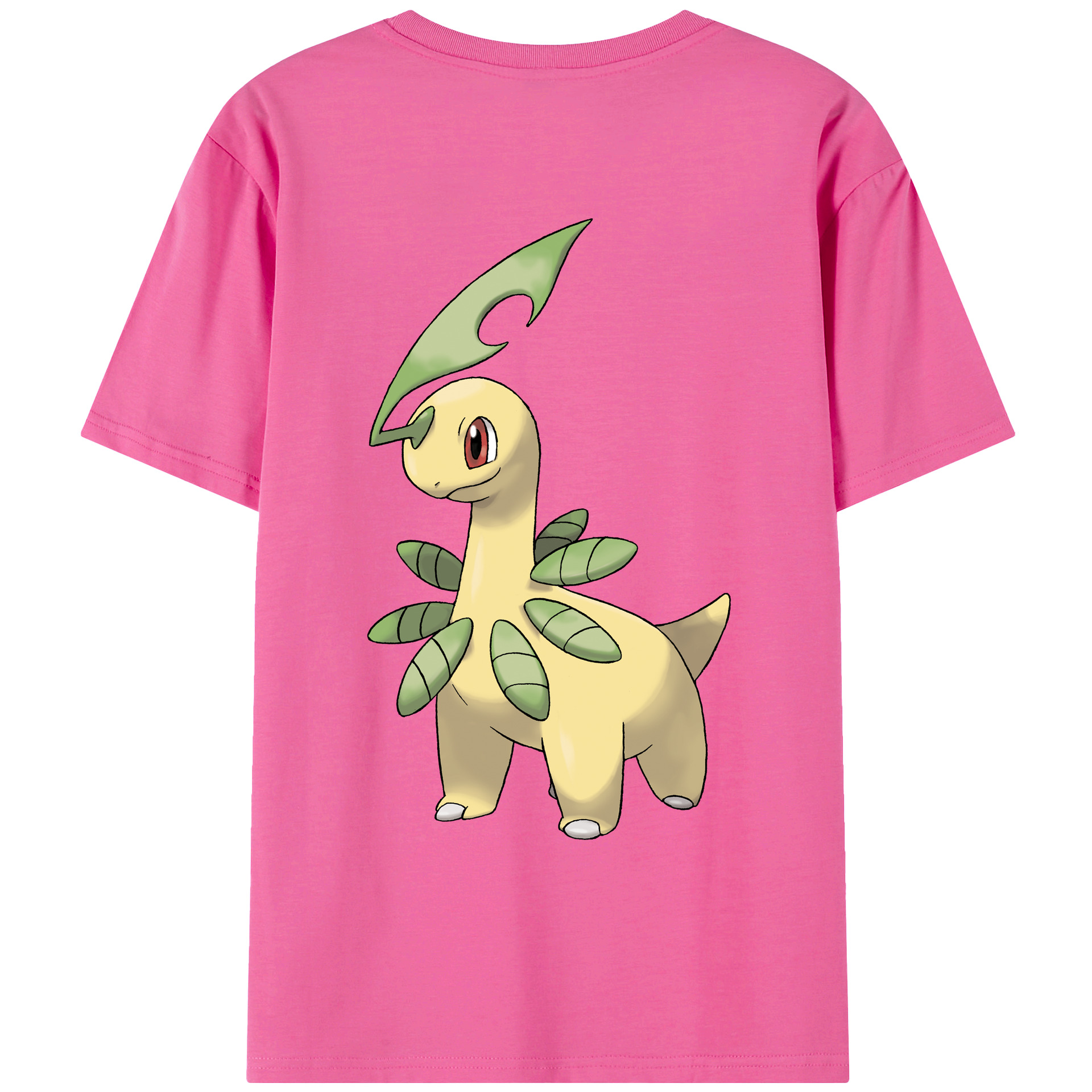 （画像用） ポケットモンスター Pokémon レディース半袖Tシャツ(バックプリント)